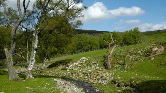 2008-05-18_speyside_b2