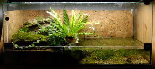 2009_11_03_terrarium