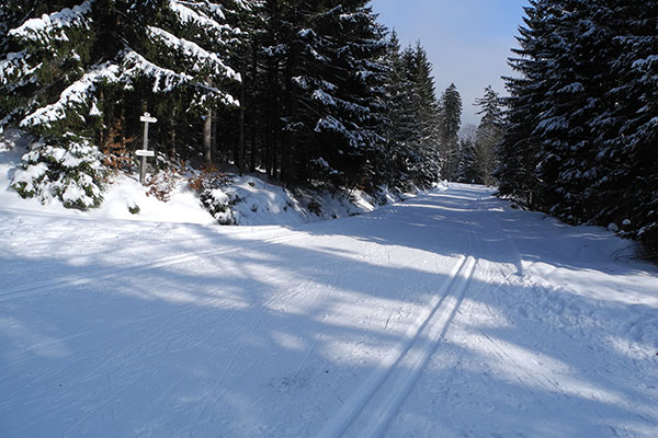 Obwohl dieses Gebiet vergleichsweise schneesicher ist, war es verblüffend leer