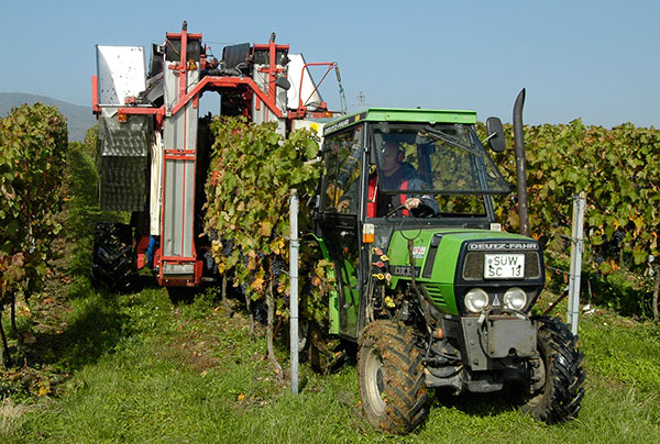 Höchstwahrscheinlich auch nicht "Bio", dafür aber sehrsinnvoll: Weinerntemaschine