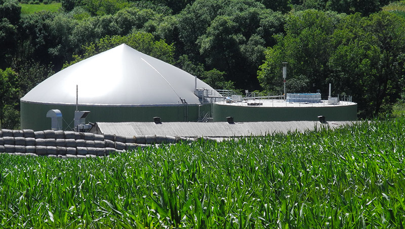 Biogas: Kann Gas grün sein? - [SCHÖNER WOHNEN]