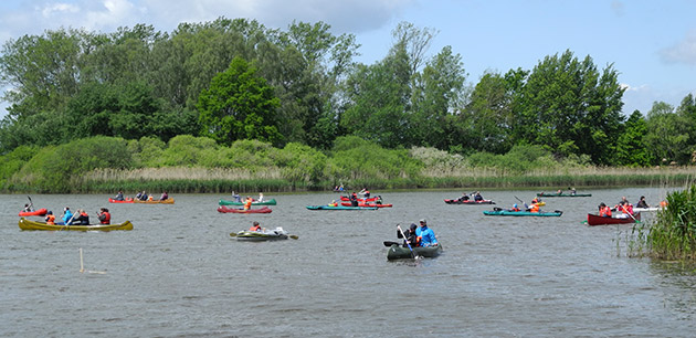 Dippelsdorfer Teich