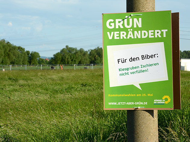 Wahlplakat Grüne