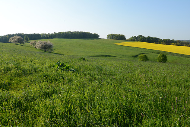 Blick über den Doberberg