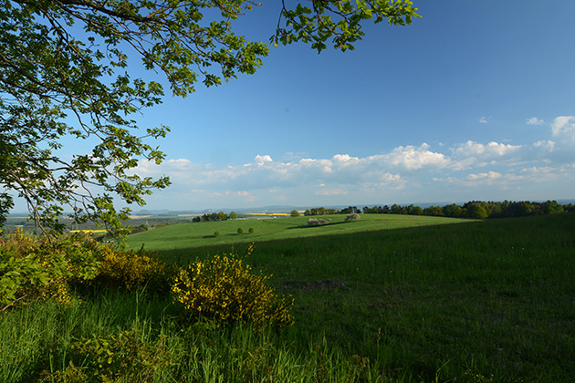 Elbhang, Doberberg