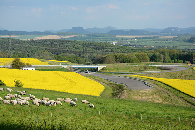 Staatsstraße S 177 Ost - Umfahrung Dresden Abschnitt Ortsumgehung Wünschendorf/Eschdorf