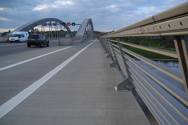 Warum Tempo 30 auf der Waldschlösschenbrücke keinen Nutzen für Fledermäuse hat